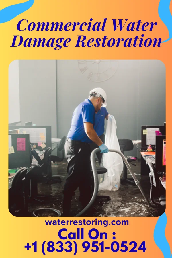 Commercial Water Damage Restoration in Clear Lake Shores, TX